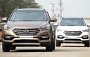 Hyundai Thành Công tạm ngừng nhập khẩu ôtô mới