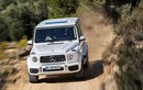 "Vua off-road" Mercedes-AMG G63 2019 lộ diện trước ngày ra mắt