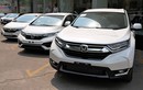 Loạt ôtô Honda nhập khẩu hưởng thuế 0% tăng giá 