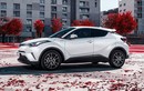 Toyota C-HR 2019 mới sẽ có giá từ hơn 500 triệu đồng 