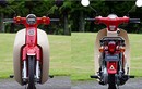 Xe máy Honda Super Cub phiên bản đặc biệt giá 57 triệu đồng