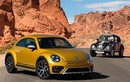 Volkswagen Beetle sẽ bị "khai tử" sau 80 năm xuất hiện 