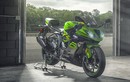 Chi tiết Kawasaki ZX-6R 2019 "chốt giá" 256 triệu đồng