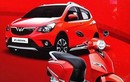 Xe ôtô giá rẻ của VinFast lộ diện “đấu” Toyota Wigo  