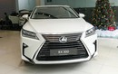 Cận cảnh Lexus RX300 hơn 3 tỷ đầu tiên về Việt Nam