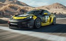 "Soi" siêu xe Porsche Cayman GT4 Clubsport thế hệ mới 