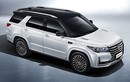 SUV Trung Quốc "sang chảnh" như Range Rover chỉ 517 triệu đồng