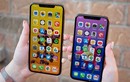 iPhone liên tục giảm giá tại Việt Nam, chuyện gì đang xảy ra?