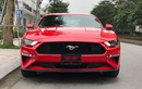 Ford Mustang Premium 2019 giá 3,1 tỷ đầu tiên về Việt Nam