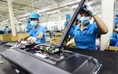 Việt Nam chi 30 tỉ USD nhập thiết bị, linh kiện... Trung Quốc
