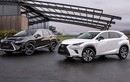 Xe sang Lexus NX và RX bản đặc biệt mới từ 1 tỷ đồng