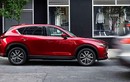 Xe Mazda3, 6 và CX-5 có triệu hồi tại Việt Nam?