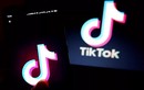 Lợi dụng Tik Tok để 'dụ' người dùng đến website người lớn