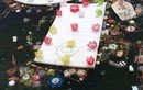 3 vạn hoa đăng nhựa thả xuống biển Cát Bà để 'bảo vệ môi trường'?