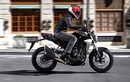 Honda CB300R từ 140 triệu tại Việt Nam "đấu" Yamaha MT-03