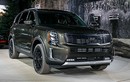 Kia Telluride 2020 mới bị tố dễ nứt kính chắn gió