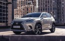 Chi tiết Lexus NX 300 mới gần 2,6 tỷ tại Việt Nam