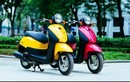 Người dùng xe máy dưới 50cc, xe máy điện phải có GPLX