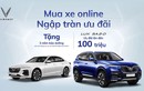 Mua xe Vinfast trực tuyến tại Việt Nam, ưu đãi đến 100 triệu đồng