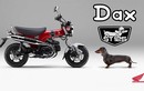 Honda ST125 Dax 2023 trình làng với kiểu dáng chó "lạp xưởng"