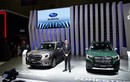 Cận cảnh Subaru Forester 2023, từ 969 triệu đồng tại Việt Nam 