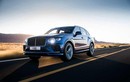 Bentley Bentayga tại Việt Nam triệu hồi khắc phục lỗi bơm nhiên liệu