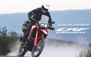 Honda CRF250 Rally 2025 trình làng, xe "cào cào" giá 155 triệu đồng