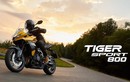 Triumph Tiger Sport 800 - "mãnh hổ" thể thao từ 362,5 triệu đồng