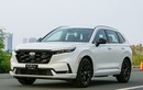 Đề xuất giảm thuế ôtô hybrid, tăng thuế xe bán tải tới 60%