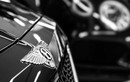 Loạt xe sang Rolls-Royce, Mercedes-Benz gần 95 tỷ đồng bị đánh cắp