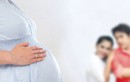 Nữ Việt kiều nhờ người em ở TP HCM mang thai hộ