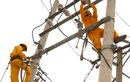 Tại sao EVN luôn được quyền tăng giá điện?