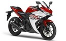 Yamaha YZF-R3 320cc bất ngờ ra mắt?