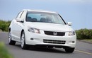 Honda Accord lỗi túi khí, 335.000 chiếc bị triệu hồi