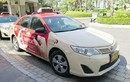 Toyota Camry hạng sang đất Việt, taxi xứ người