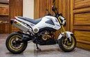 Honda MSX125 độ khủng của nữ biker Sài Gòn