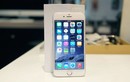 iPhone 6 khóa mạng Nhật giá 10 triệu hút khách Việt