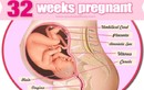 Vì sao nói thai 32 tuần tuổi là mốc quan trọng nhất?