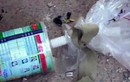 Phát hiện phiến quân IS chế tạo bom từ vỏ hộp sữa