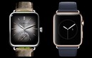 Ngắm đồng hồ giống Apple Watch giá hơn 500 triệu ở VN