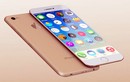 iPhone 7 giống iPhone 6s đến thế nào?