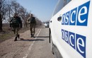 OSCE tố quân chính phủ Ukraine pháo kích làng Shirokino