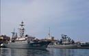 Tàu chiến Nga sẵn sàng sơ tán công dân khỏi Syria