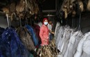 Hình ảnh thị trấn chế biến lông thú lớn nhất Trung Quốc