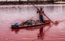 Cận cảnh dân nghèo mưu sinh nhờ “hồ máu” ở Senegal