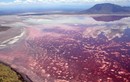 Khám phá những hồ kỳ lạ nhất trên thế giới