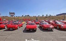 200 siêu xe Ferrari phô diễn vẻ đẹp rực rỡ dưới nắng