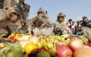 Hàng trăm khỉ đuôi dài đại náo tiệc buffet ở Thái Lan