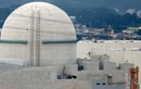 Hàn Quốc đóng 2 lò hạt nhân vì rò rỉ khí độc