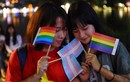 Mạng Trung Quốc viết về niềm vui của cộng đồng LGBT Việt